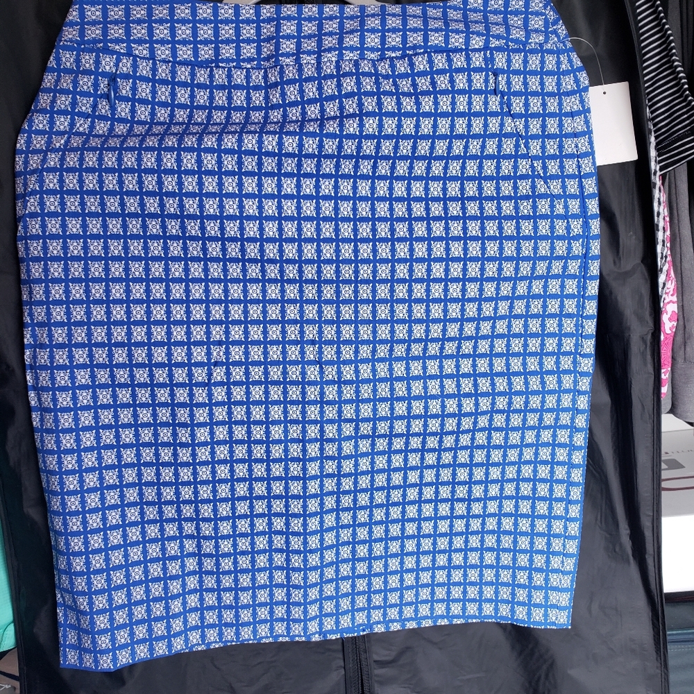 The Limited pencil skirt, size 2, blue geo pattern. Never worn.